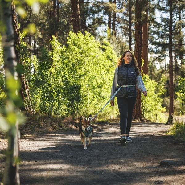 Shop Gear Leashes